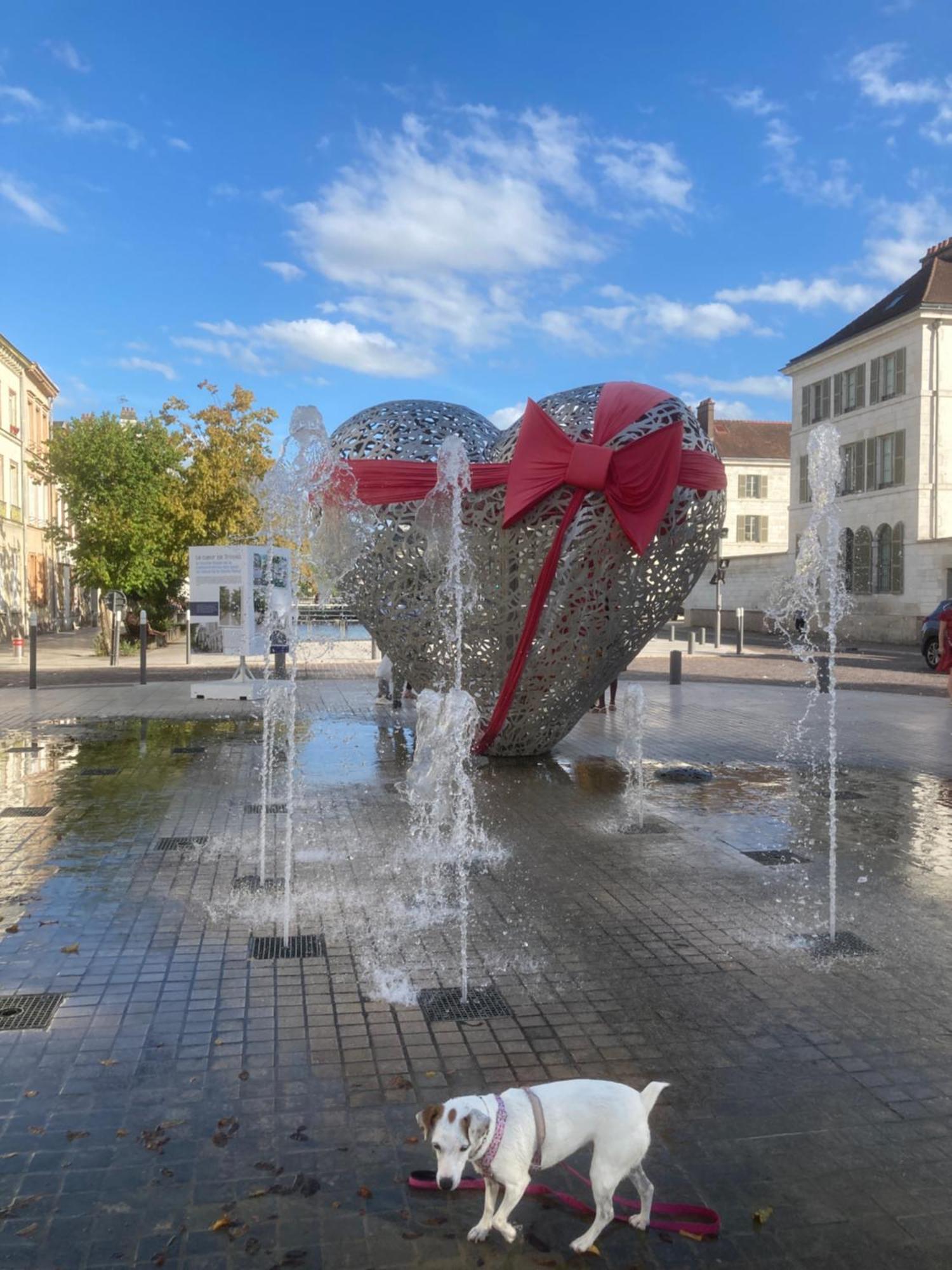 Apartament Papillons De Nuit Champagne Troyes Zewnętrze zdjęcie